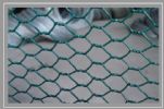 Hexagonal Wire Netting